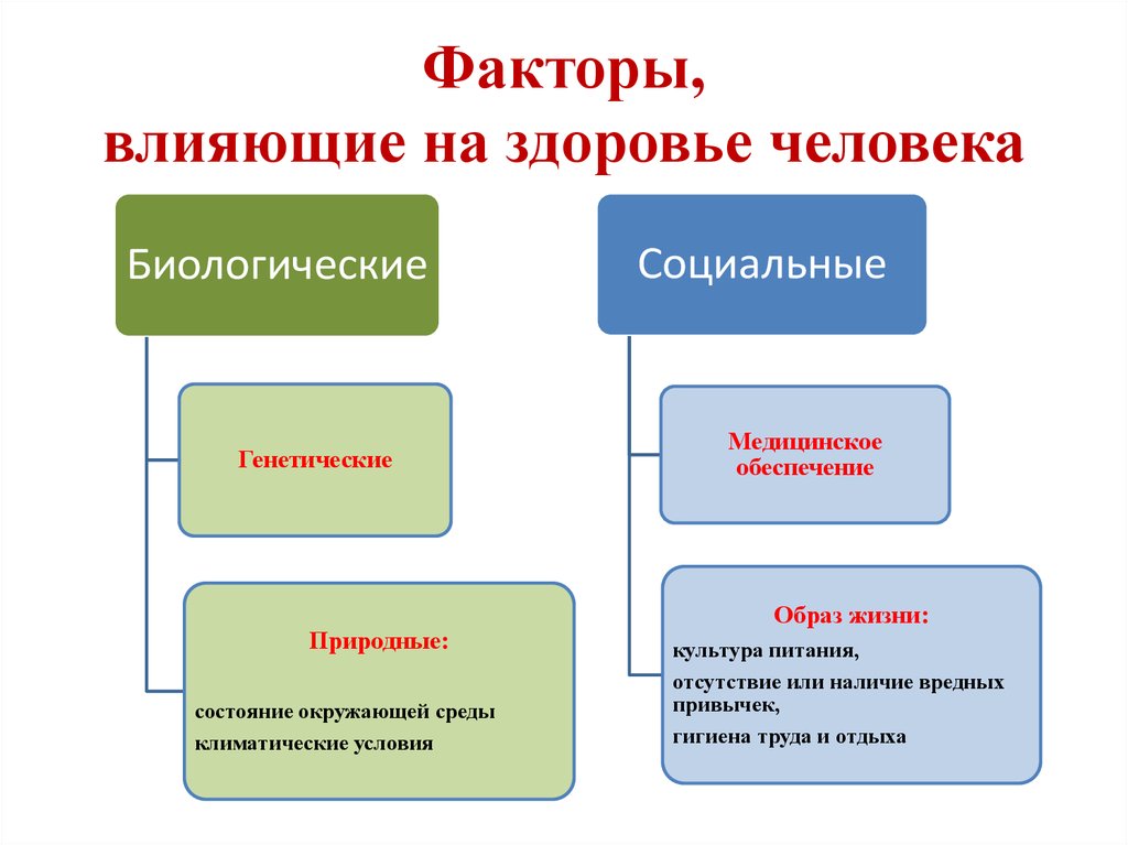 Продукты, повышающие потенцию у мужчин какие овощи и фрукты.