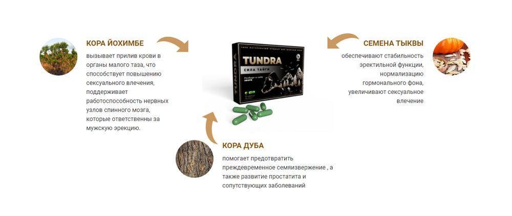 Тундра - капсулы для потенции в Липецке купить в Аптеке №38.