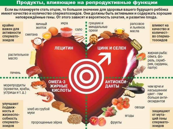 Потенцию советы врача