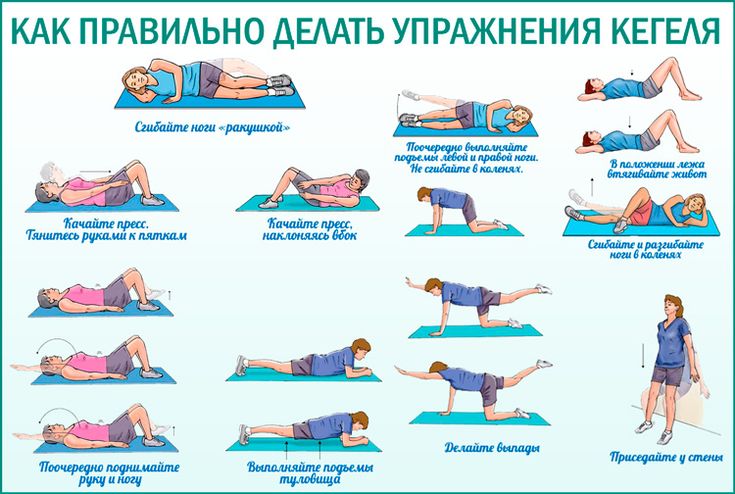 Потенция — Википедия