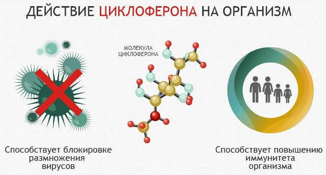 Как Виагра действует на женщин?