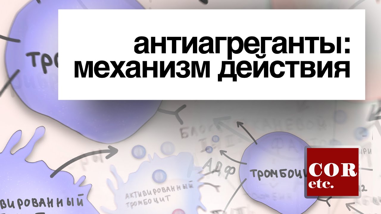 Как действует и насколько опасна виагра - Здоровье 24